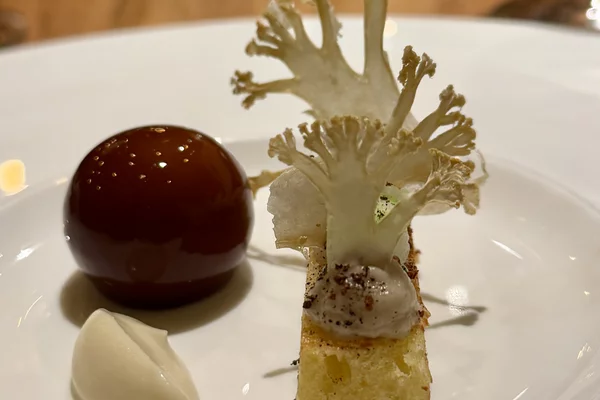 tollste Kreationen mit Weinbegleitung