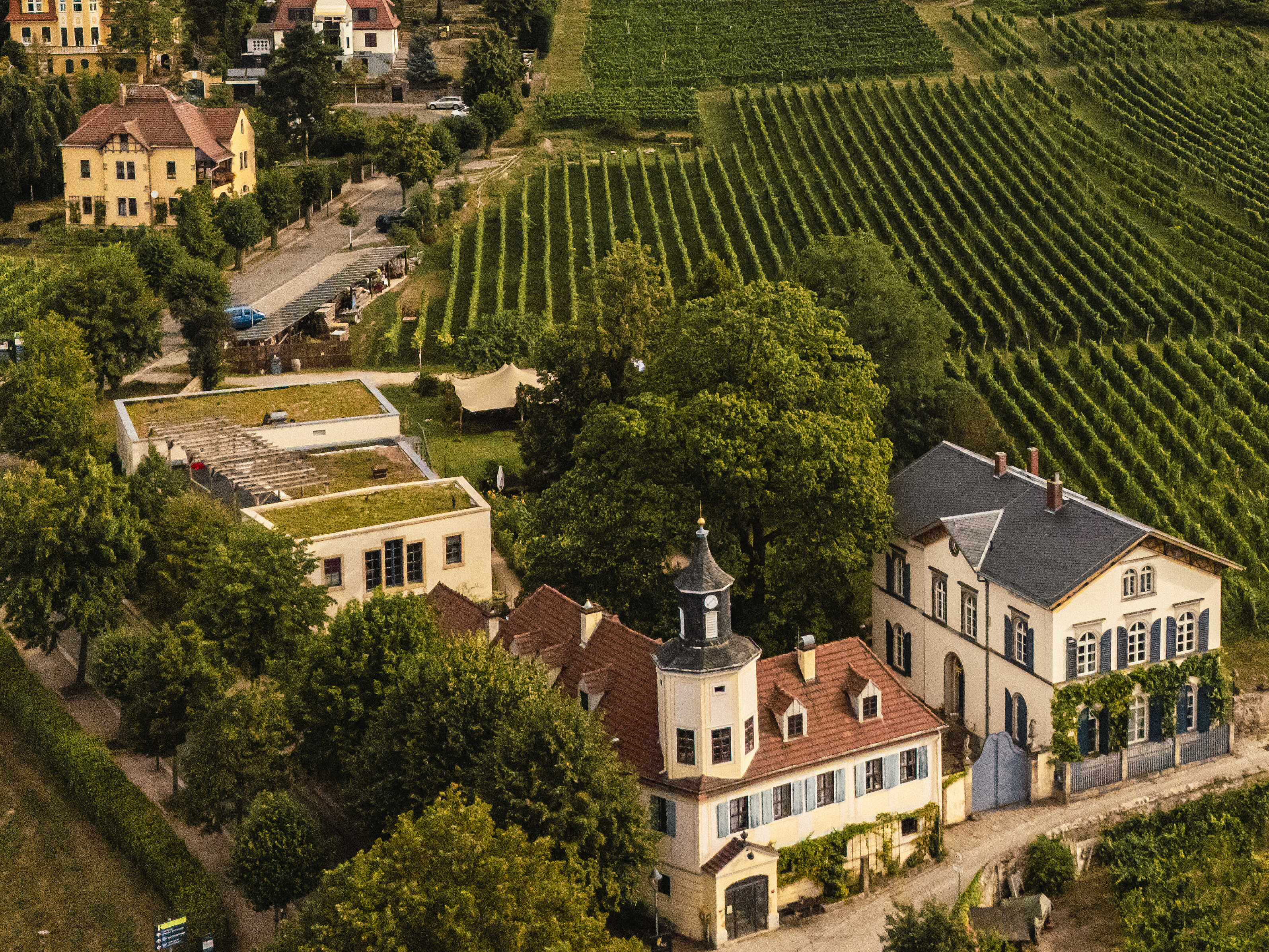 Starke Frauen im Wein-Business im Spannungsfeld zwischen Unternehmen, Führung und privatem Glück – wie bringe ich meine Rollen gut in Balance?