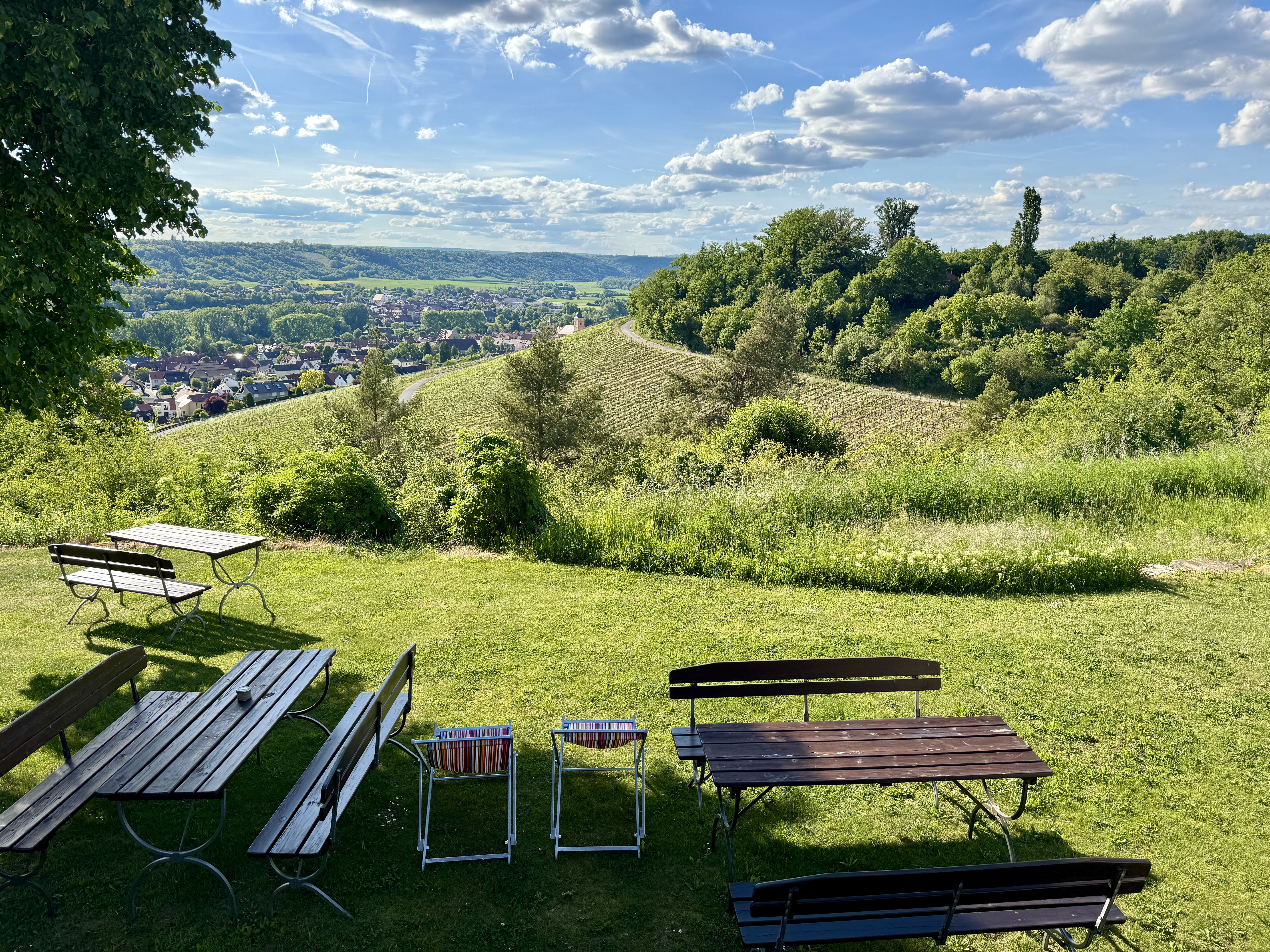 Ausblick Sommerhausen